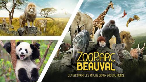 Beauval